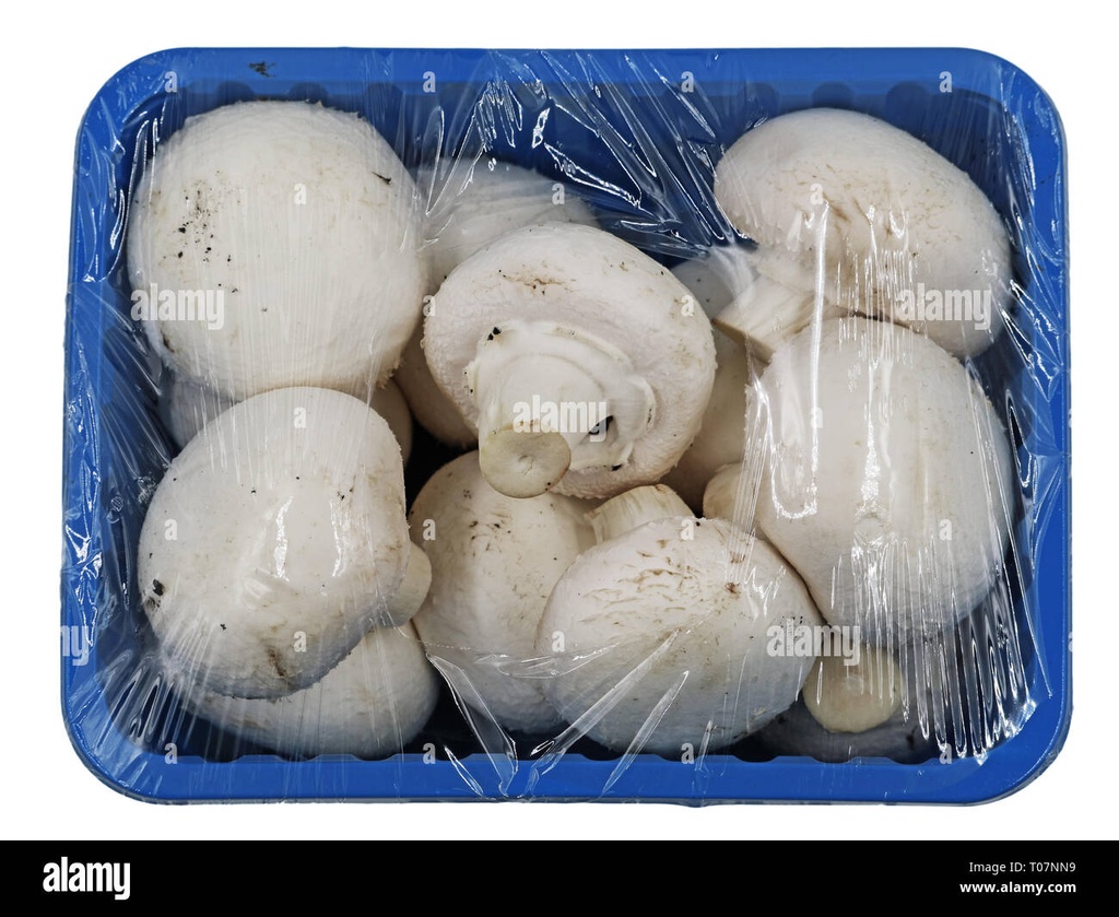 Mushroom (കൂൺ) Box