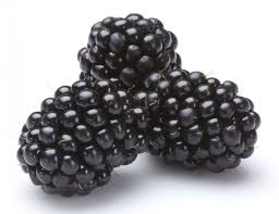 Black Berry (ബ്ലാക്ബെറി)