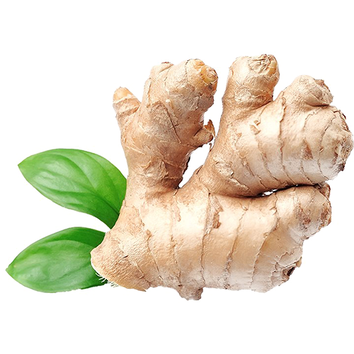 ഇഞ്ചി (Ginger) 300 Gm