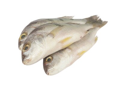 Adavu (അടവ് മീൻ ) 500 Gm