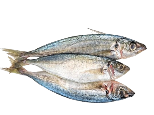 ayala 1 kg