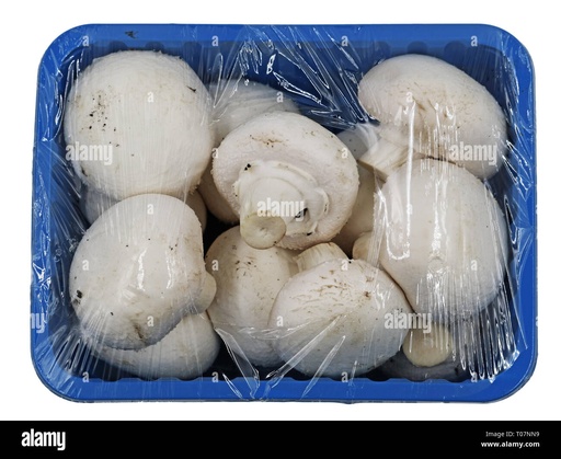 Mushroom (കൂൺ) Box