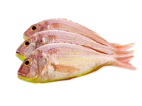 Kora Cleaned (കോര) 500 Gm