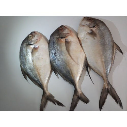 Vatta Para (വറ്റ) 500 Gm