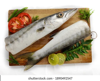 Thinda (തിണ്ട മീൻ) 500 Gm