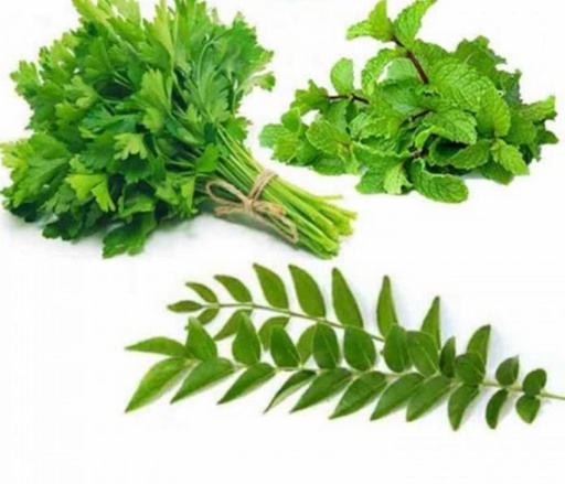 മല്ലി , പൊതീന, കറിവേപ്പില 1 Bunch