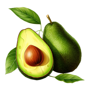 Avocado (ബട്ടർപിയർ) 500 Gm