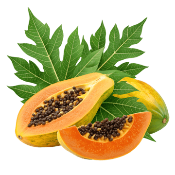 papaya (പപ്പായ ) 1 Kg